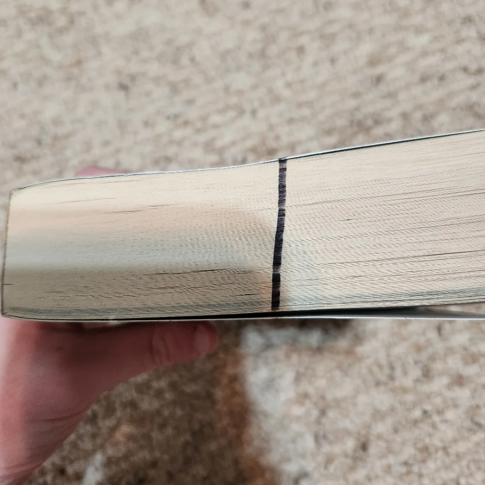 Allegiant Paperback - Picture 2 of 8